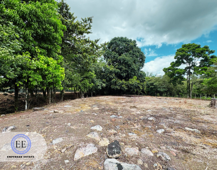 Lote Guapiles — photo 11
