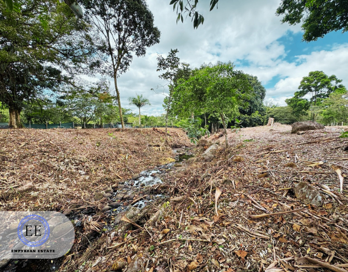 Lote Guapiles — photo 13