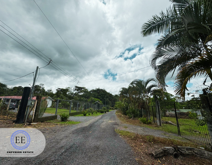 Lote Guapiles — photo 15