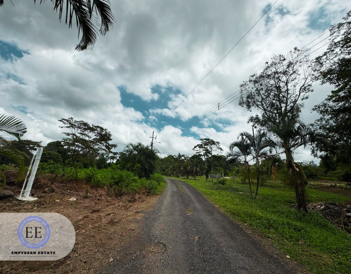 Lote Guapiles — photo 10