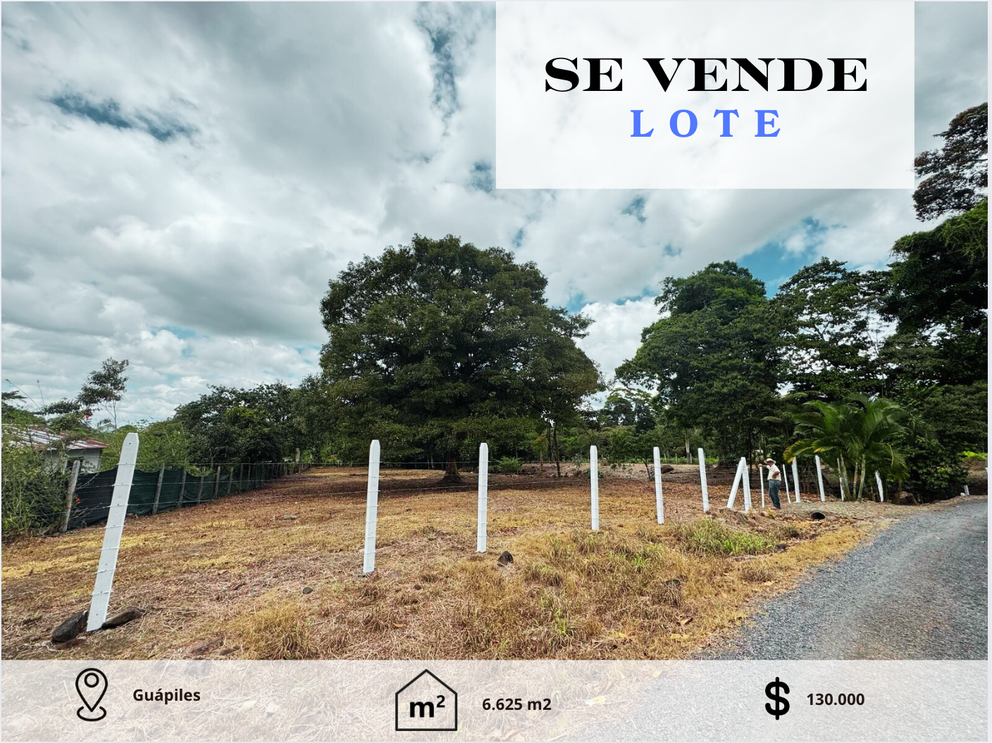 Lote Guapiles — main photo