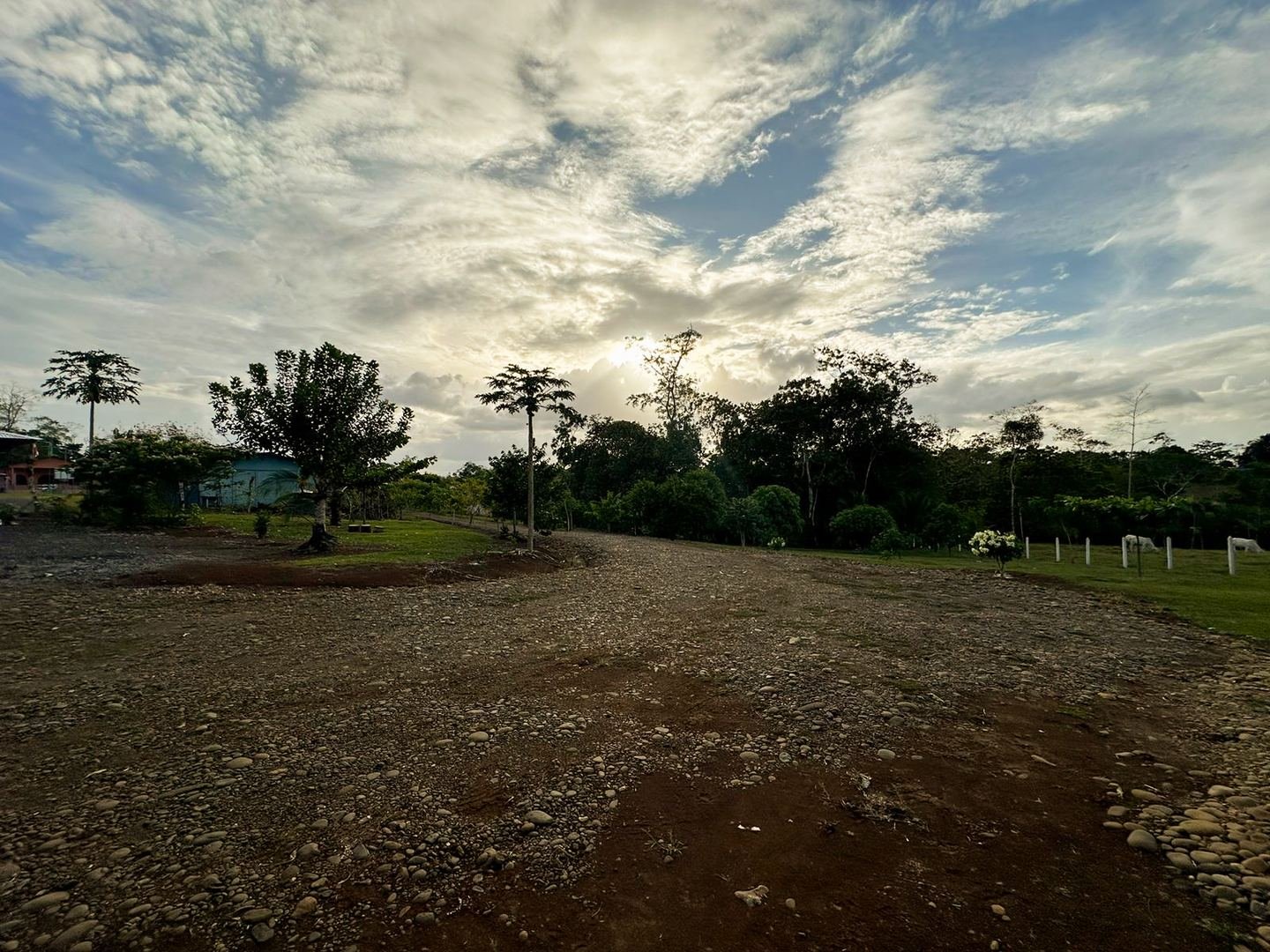 Working Cattle Farm in Pocosol, San Carlos — photo 10