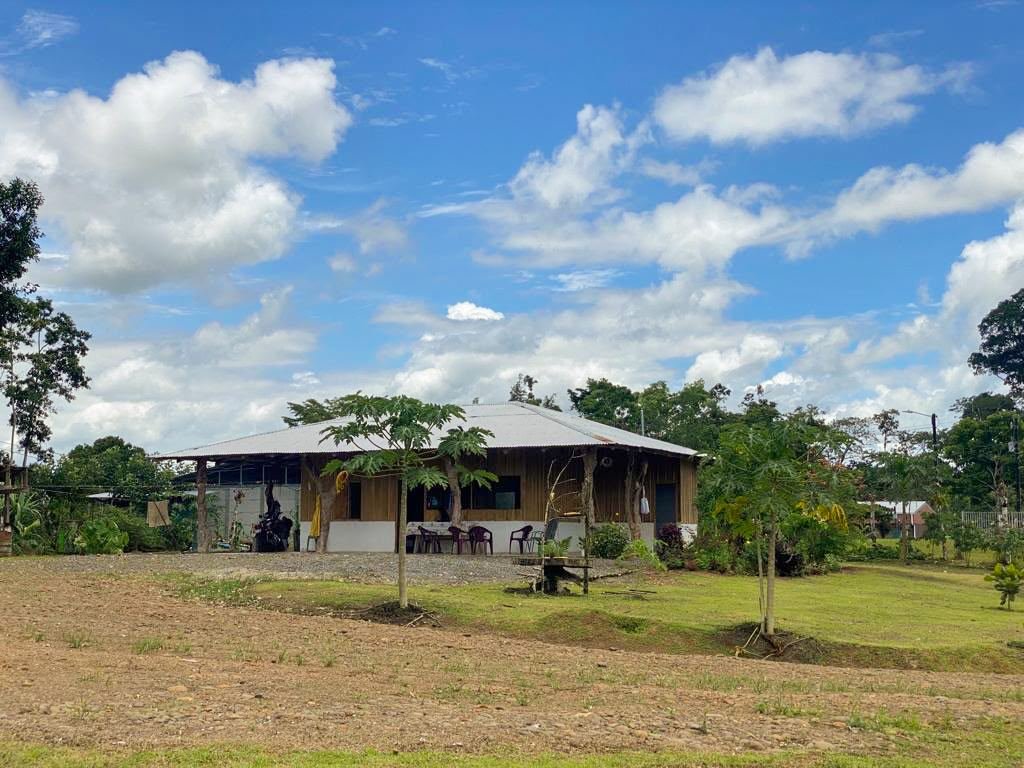 Working Cattle Farm in Pocosol, San Carlos — photo 20
