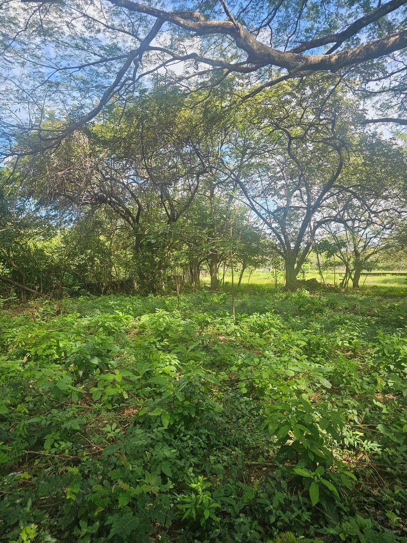 Terreno en Proyecto Santa Lucía, Liberia — photo 2