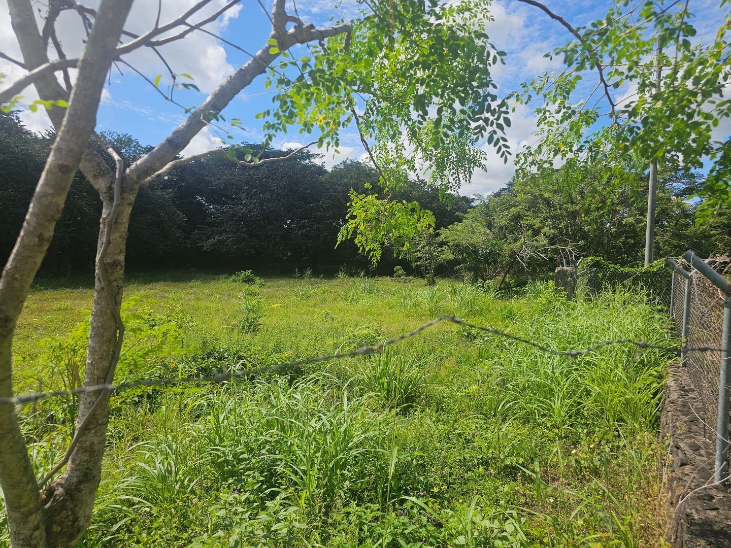Terreno en Proyecto Santa Lucía, Liberia — photo 7