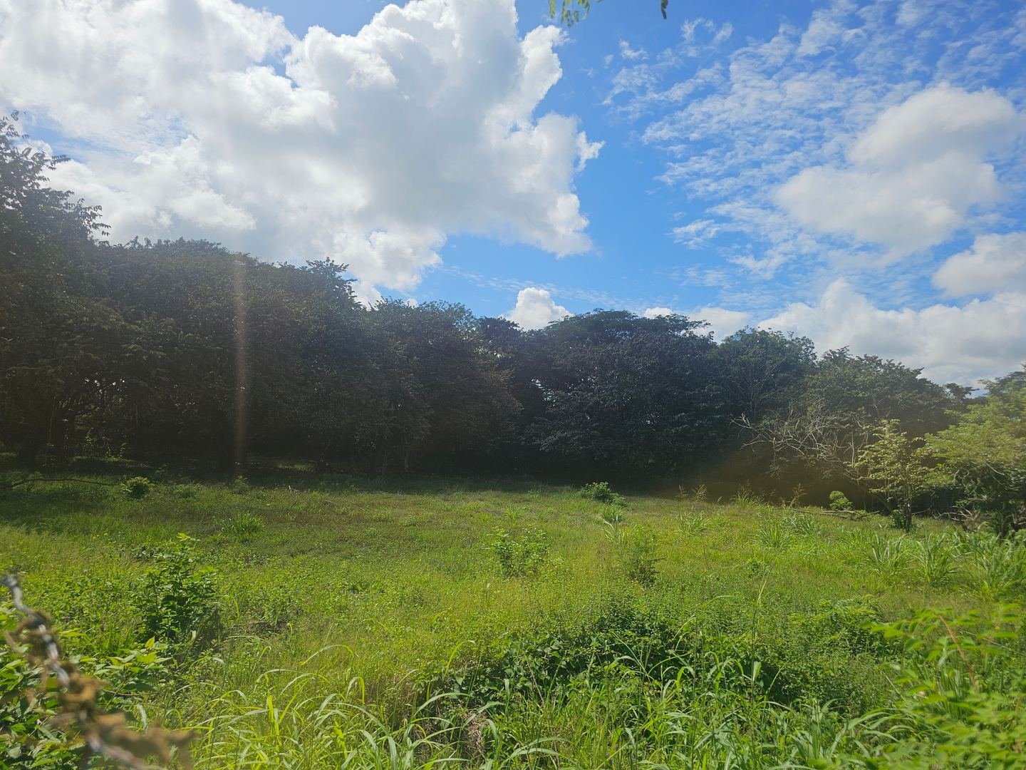 Terreno en Proyecto Santa Lucía, Liberia — photo 8