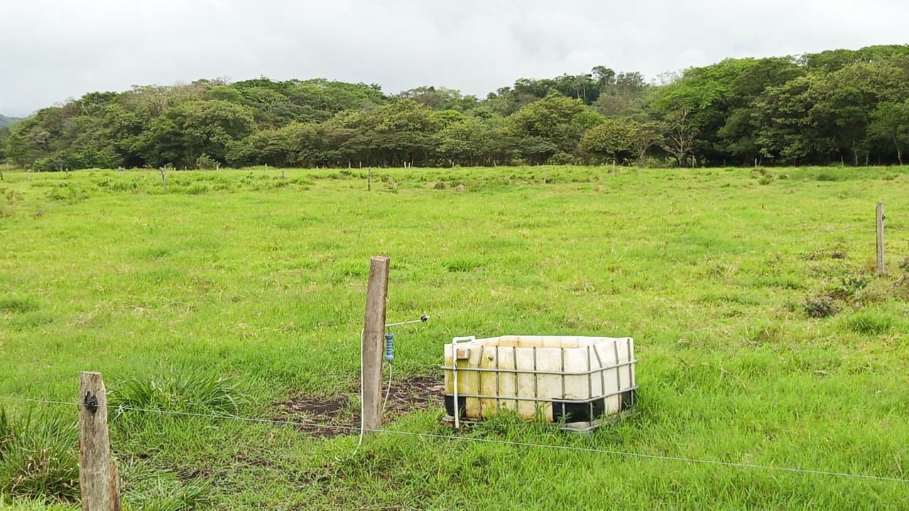 Finca Ganadera en Bagaces, Guanacaste — photo 2
