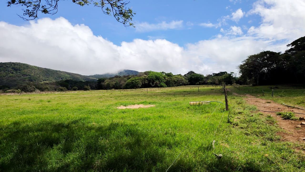 Finca Ganadera en Bagaces, Guanacaste — photo 3