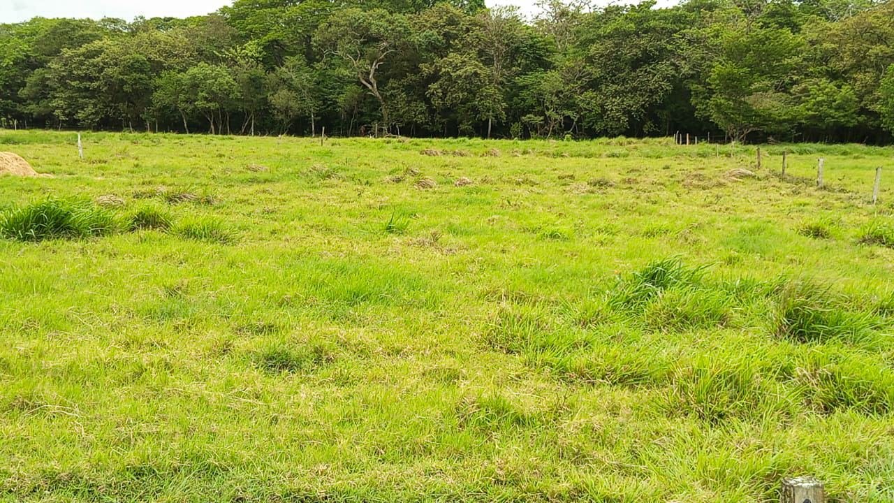 Finca Ganadera en Bagaces, Guanacaste — photo 5