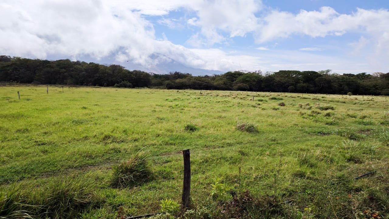 Finca Ganadera en Bagaces, Guanacaste — photo 6