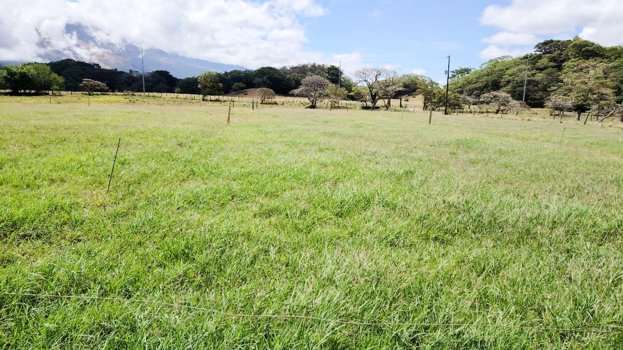 Finca Ganadera en Bagaces, Guanacaste — photo 7