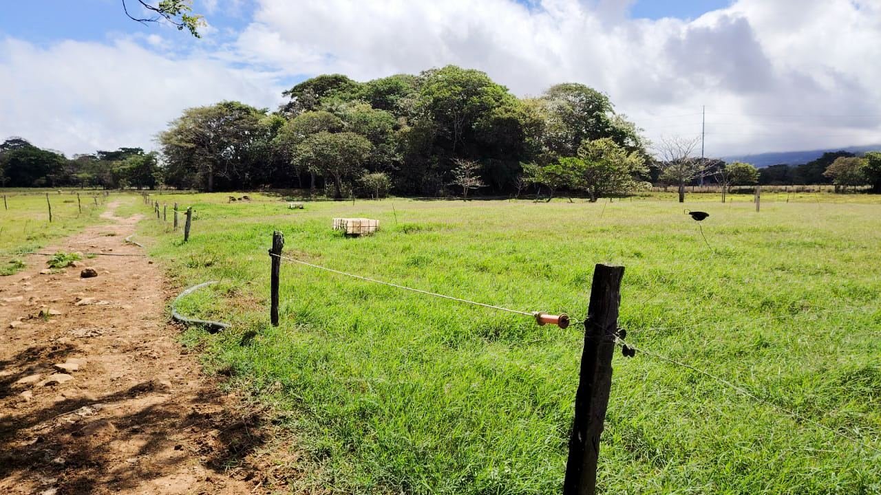Finca Ganadera en Bagaces, Guanacaste — photo 8