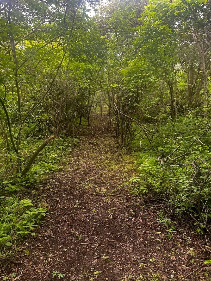 Eco-Finca Project in Quebrada Grande, Liberia — photo 12