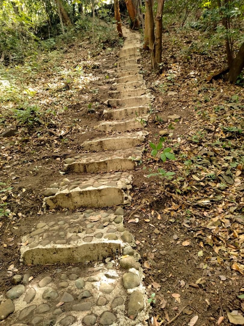 Eco-Finca Project in Quebrada Grande, Liberia — photo 13