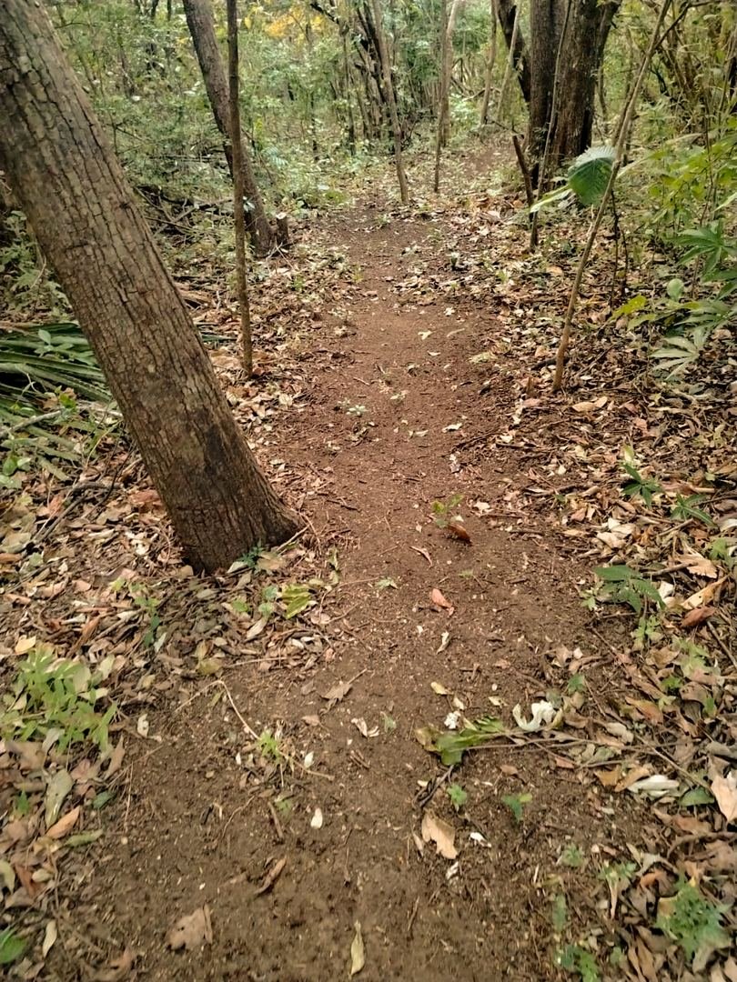 Eco-Finca Project in Quebrada Grande, Liberia — photo 18