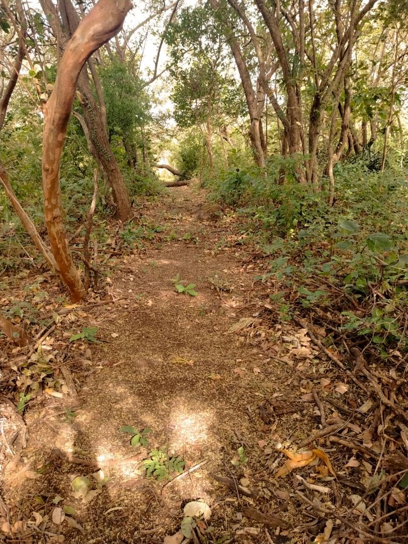 Eco-Finca Project in Quebrada Grande, Liberia — photo 29