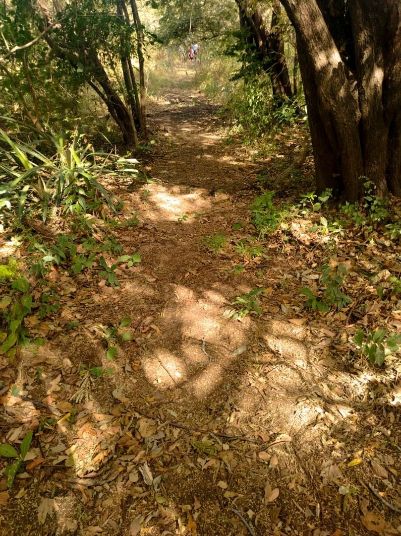 Eco-Finca Project in Quebrada Grande, Liberia — photo 3